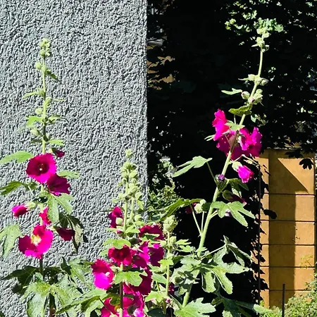 Authentic Copenhagen! 1st Floor, 2 X Doub Bed, Fully Furnishd, Check In 3 Pm - 3 Am